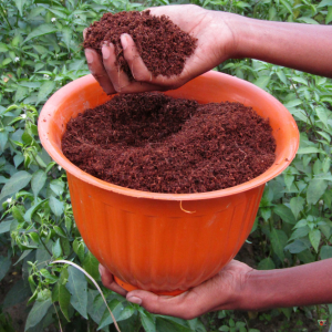 Organic Fertilizers