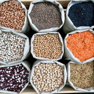 Premium Seeds