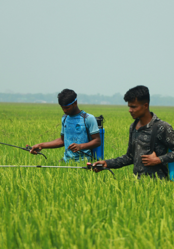 Field to Market